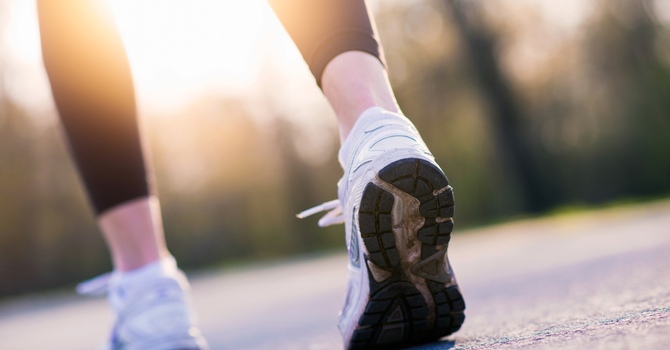 Kinesiology / Athletic Therapy