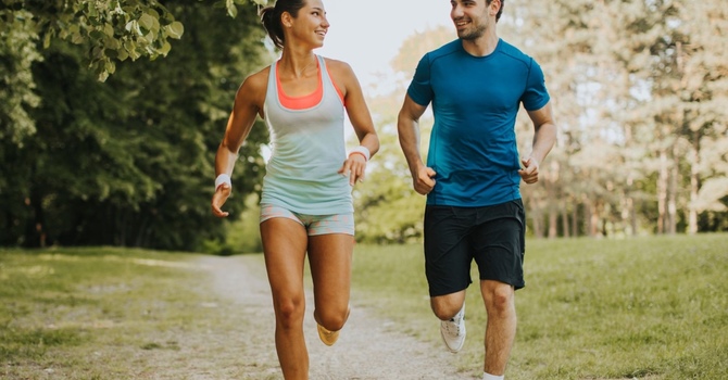 Chiropractic Adjustment/Rehab (1hr)